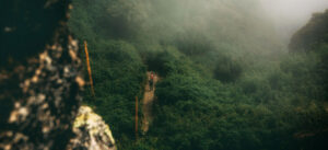 Tourist doing the Inca Trail towards Machu Picchu